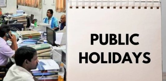 Public Holiday