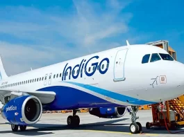 Indigo Sale