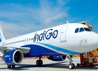 Indigo Sale